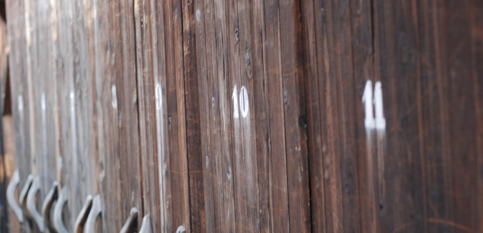 "Nachhaltigkeit dauert ewig und genau das ist der Punkt." (Annie Leonard) "Nachhaltigkeit dauert ewig und genau das ist der Punkt." (Annie Leonard)